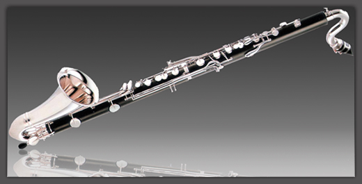 bass clarinet union musicale la motte servolex