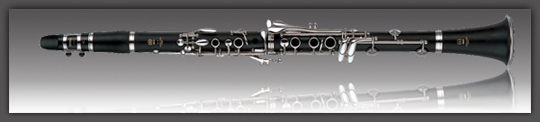 clarinette union musicale la motte servolex